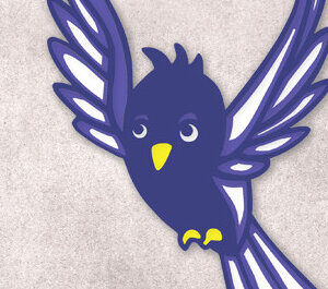 Intra απο ξύλο plywood 3mm-4mm πάχος Πουλί Δίασταση 30x20 cm INTRAFABR-24867672