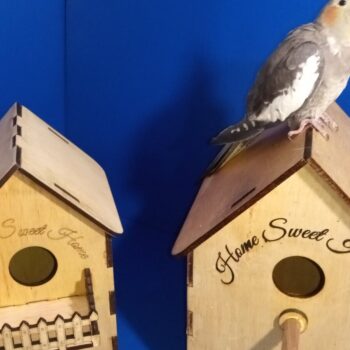 Intra απο ξύλο plywood 3mm-4mm πάχος Bird Box X 3 Τύποι σπιτιών Δίασταση 30x20 cm INTRAFABR-56029457 - Image 17