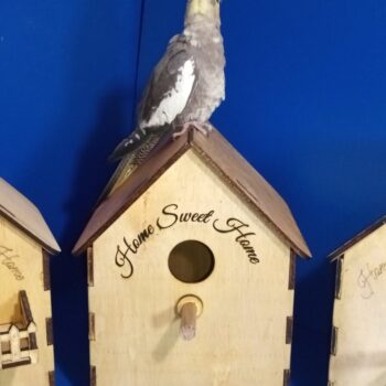 Intra απο ξύλο plywood 3mm-4mm πάχος Bird Box X 3 Τύποι σπιτιών Δίασταση 30x20 cm INTRAFABR-56029457 - Image 18