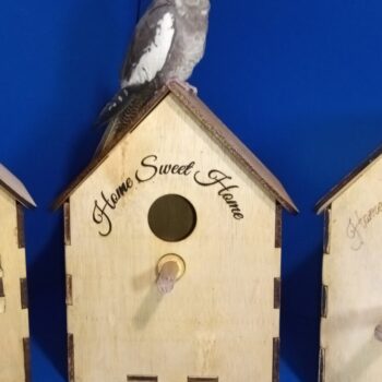 Intra απο ξύλο plywood 3mm-4mm πάχος Bird Box X 3 Τύποι σπιτιών Δίασταση 30x20 cm INTRAFABR-56029457 - Image 19