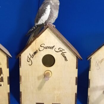 Intra απο ξύλο plywood 3mm-4mm πάχος Bird Box X 3 Τύποι σπιτιών Δίασταση 30x20 cm INTRAFABR-56029457 - Image 20