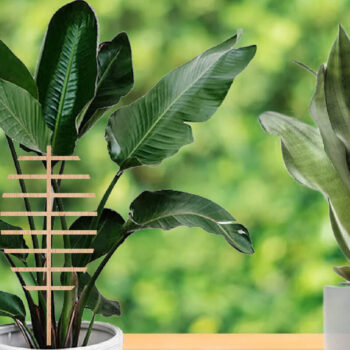 Intra απο ξύλο plywood 3mm-4mm πάχος Boho Plant Trellis Stakes φυτών εσωτερικού χώρου Δίασταση 15x15 cm INTRAFABR-26141290 - Image 3