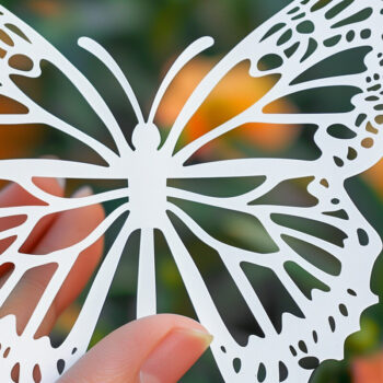 Intra απο ξύλο plywood 3mm-4mm πάχος προτύπων καρτών χάρτινη πεταλούδα Δίασταση 10x20 cm INTRAFABR-92259194 - Image 3