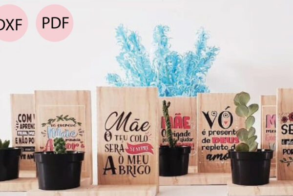 1757609358_Cactus-Box-with-Text-Graphics-113373944-1-1
