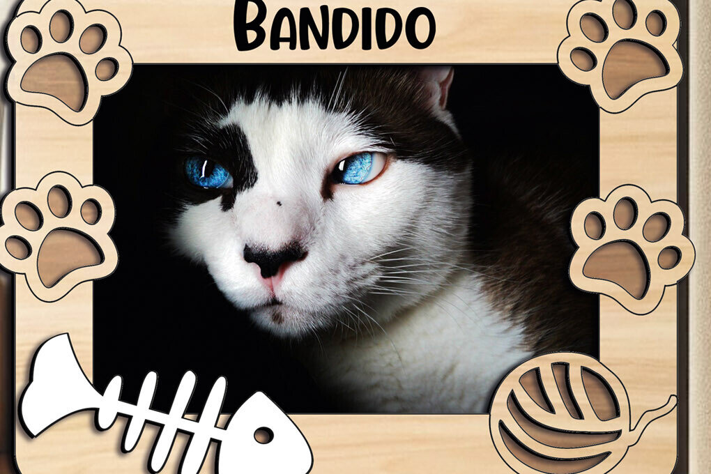 Intra απο ξύλο plywood 3mm-4mm πάχος Πλαίσιο φωτογραφιών για κατοικίδια γάτας Σήμα εικόνας Δίασταση 20x30 cm INTRAFABR-110525925