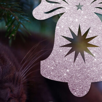 Intra απο ξύλο plywood 3mm-4mm πάχος Χριστουγεννιάτικο κουδούνι Δίασταση 15x15 cm INTRAFABR-9980801 - Image 4