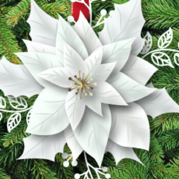 Intra απο ξύλο plywood 3mm-4mm πάχος Christmas Multilayer Poinsettia 801 Δίασταση 15x15 cm INTRAFABR-82811598 - Image 1
