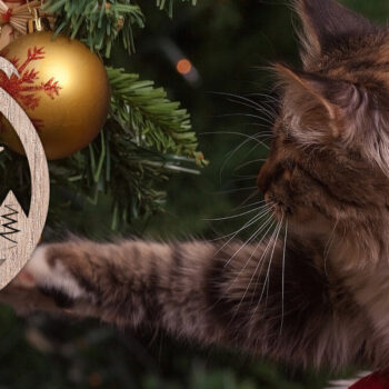 Intra απο ξύλο plywood 3mm-4mm πάχος Χριστουγεννιάτικο Στολίδι Δέσμη κοπής με λέιζερ V.2 Δίασταση 8x8 cm INTRAFABR-48812990 - Image 5