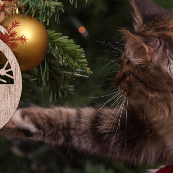 Intra απο ξύλο plywood 3mm-4mm πάχος Χριστουγεννιάτικο Στολίδι Δέσμη κοπής με λέιζερ V.2 Δίασταση 8x8 cm INTRAFABR-48812990 - Image 7