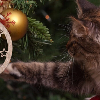 Intra απο ξύλο plywood 3mm-4mm πάχος Χριστουγεννιάτικο Στολίδι Δέσμη κοπής με λέιζερ V.2 Δίασταση 8x8 cm INTRAFABR-48812990 - Image 9