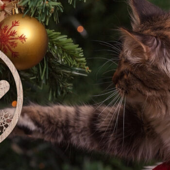 Intra απο ξύλο plywood 3mm-4mm πάχος - Στολίδι χριστουγεννιάτικου δέντρου με   Δίασταση 6x6 cm INTRAFABR-48615426 - Image 2