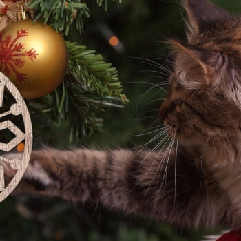 Intra απο ξύλο plywood 3mm-4mm πάχος - Δέσμη κοπής με λέιζερ στολίδι Χριστουγεννιάτικου Δέντρου Δίασταση 6x6 cm INTRAFABR-48638733 - Image 11