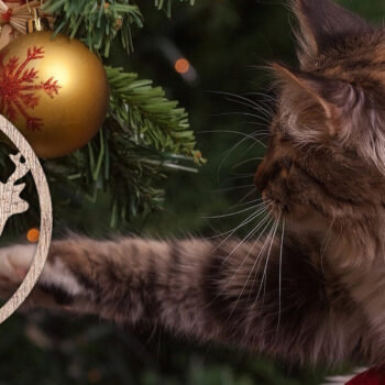 Intra απο ξύλο plywood 3mm-4mm πάχος - Δέσμη κοπής με λέιζερ στολίδι Χριστουγεννιάτικου Δέντρου Δίασταση 6x6 cm INTRAFABR-48638733 - Image 13