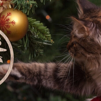 Intra απο ξύλο plywood 3mm-4mm πάχος - Δέσμη κοπής με λέιζερ στολίδι Χριστουγεννιάτικου Δέντρου Δίασταση 6x6 cm INTRAFABR-48638733 - Image 15