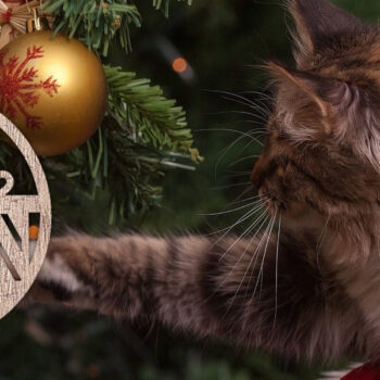 Intra απο ξύλο plywood 3mm-4mm πάχος - Σχέδιο κοπής με λέιζερ στολίδι Χριστουγεννιάτικου δέντρου Δίασταση 6x6 cm INTRAFABR-48620296 - Image 2