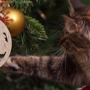 Intra απο ξύλο plywood 3mm-4mm πάχος - Στολίδι Χριστουγεννιάτικου Δέντρου | Laser Cut  Δίασταση 6x6 cm INTRAFABR-48804297 - Image 2