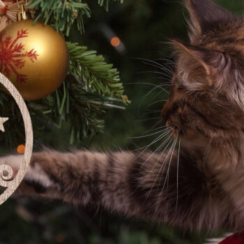 Intra απο ξύλο plywood 3mm-4mm πάχος - Στολίδι Χριστουγεννιάτικου Δέντρου   Δίασταση 6x6 cm INTRAFABR-48618816 - Image 2