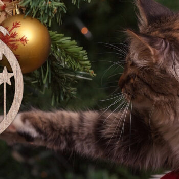 Intra απο ξύλο plywood 3mm-4mm πάχος - Στολίδι Χριστουγεννιάτικου Δέντρου   Δίασταση 6x6 cm INTRAFABR-48803326 - Image 2