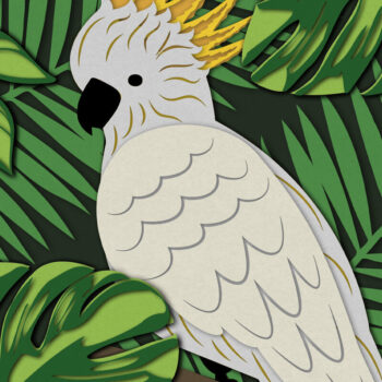 Intra απο ξύλο plywood 3mm-4mm πάχος -  κοπής πολυστρωματικού χαρτιού COCKATOO Δίασταση 8x8 cm INTRAFABR-80378334 - Image 6