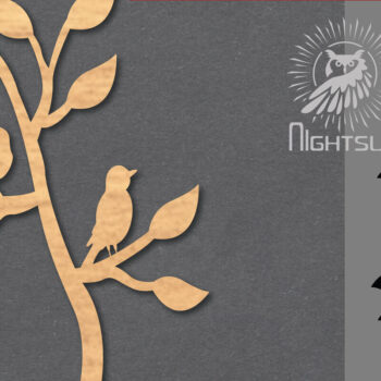 Intra απο ξύλο plywood 3mm-4mm πάχος - Διακόσμηση Couple Bird Cut Laser 2 Δίασταση 20x20 cm INTRAFABR-119764354 - Image 1