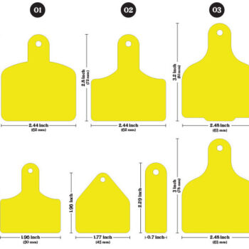 Intra απο ξύλο plywood 3mm-4mm πάχος - Ετικέτα αγελάδας , Πρότυπο Ετικέτες αυτιών αγελάδας Δίασταση 30x20 cm INTRAFABR-109928662 - Image 2