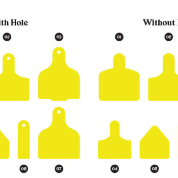 Intra απο ξύλο plywood 3mm-4mm πάχος - Ετικέτα αγελάδας , Πρότυπο Ετικέτες αυτιών αγελάδας Δίασταση 30x20 cm INTRAFABR-109928662 - Image 3