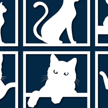 Intra απο ξύλο plywood 3mm-4mm πάχος - Cricut/Διακόσμηση γάτας με λέιζερ Bundle = Δίασταση 20x20 cm INTRAFABR-75994975 - Image 1