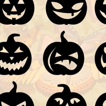Intra απο ξύλο plywood 3mm-4mm πάχος - Πακέτο Cricut Pumpkin Horror Face Δίασταση 15x15 cm INTRAFABR-77358919 - Image 1