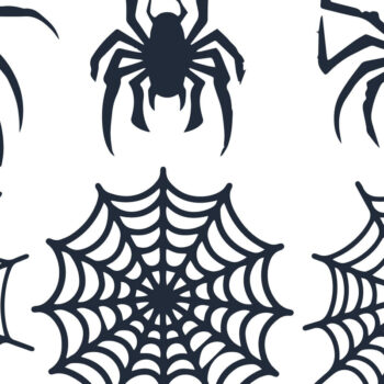 Intra απο ξύλο plywood 3mm-4mm πάχος - Πακέτο Cricut Spiderweb  Δίασταση 15x15 cm INTRAFABR-102643665 - Image 3