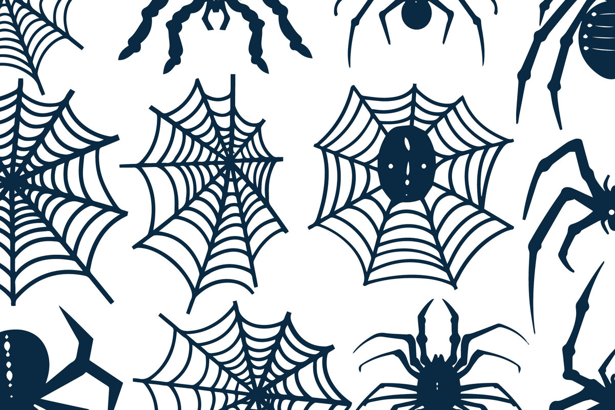 Intra απο ξύλο plywood 3mm-4mm πάχος - Πακέτο Cricut Spiderweb  Δίασταση 15x15 cm INTRAFABR-102637015