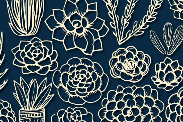 1758451923_Cricut-SUCCULENTS-SVG-Cut-File-Bundle-Graphics-89504624-1-1