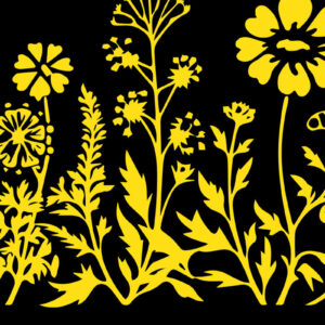 Intra απο ξύλο plywood 3mm-4mm πάχος - Πακέτο Cricut Wildflower Element  Δίασταση 4x4 cm INTRAFABR-85300391