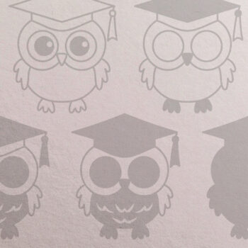 Intra απο ξύλο plywood 3mm-4mm πάχος - Χαριτωμένη κουκουβάγια με καπάκι αποφοίτησης 3D Δίασταση 30x20 cm INTRAFABR-68974726 - Image 2