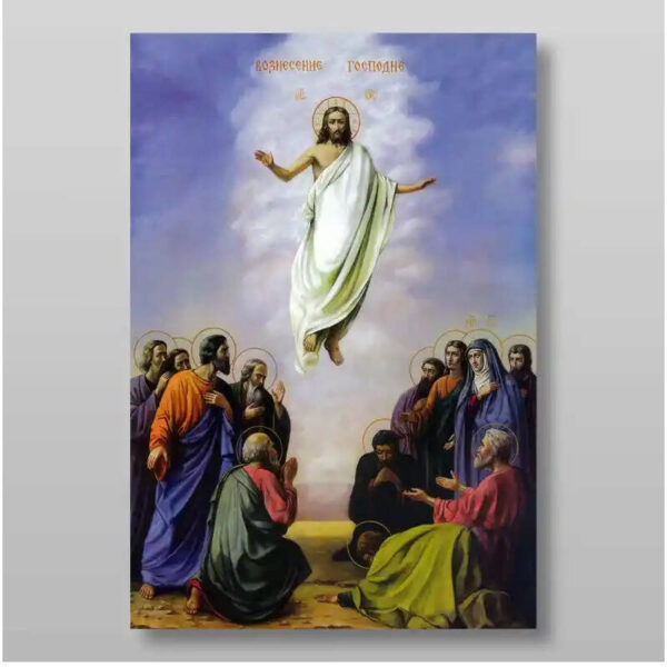 1758458889_il_794xN.6518168414_tvd9