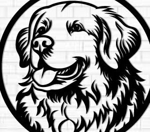 Intra απο ξύλο plywood 3mm-4mm πάχος - Μεταλλικός τοίχος με λίμα κοπής με λέιζερ σκύλου Δίασταση 40x50 cm INTRAFABR-112052396