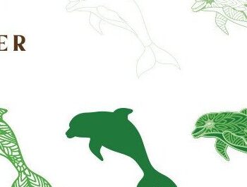 Intra απο ξύλο plywood 3mm-4mm πάχος - Dolphin Laser Cut  Δίασταση 30x30 cm INTRAFABR-36049084 - Image 2