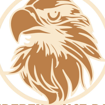 Intra απο ξύλο plywood 3mm-4mm πάχος - Αετός, Ημέρα της Ανεξαρτησίας, 4 Ιουλίου Δίασταση 12x11 cm INTRAFABR-72907523 - Image 8