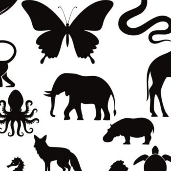 Intra απο ξύλο plywood 3mm-4mm πάχος - Κομψές διανυσματικές σιλουέτες των ζώων Δίασταση 30x20 cm INTRAFABR-118684197 - Image 1