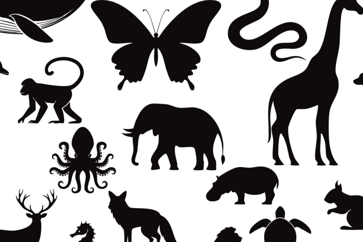 Intra απο ξύλο plywood 3mm-4mm πάχος - Κομψές διανυσματικές σιλουέτες των ζώων Δίασταση 30x20 cm INTRAFABR-118684197
