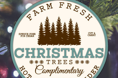 1758486131_Farm-Fresh-Christmas-tree-ornament-svg-Graphics-103138380-1-1