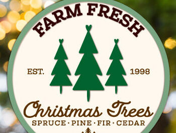 Intra απο ξύλο plywood 3mm-4mm πάχος - Farm Fresh Στολίδι Χριστουγεννιάτικου Δέντρου Δίασταση 6x6 cm INTRAFABR-103138418 - Image 1