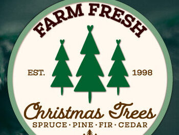 Intra απο ξύλο plywood 3mm-4mm πάχος - Farm Fresh Στολίδι Χριστουγεννιάτικου Δέντρου Δίασταση 6x6 cm INTRAFABR-103138839 - Image 10