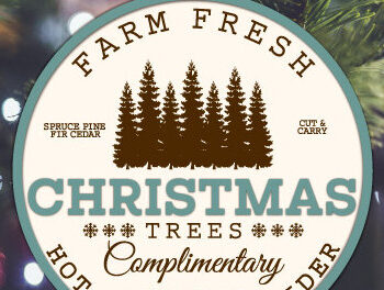 Intra απο ξύλο plywood 3mm-4mm πάχος - Farm Fresh Στολίδι Χριστουγεννιάτικου Δέντρου Δίασταση 6x6 cm INTRAFABR-103138839 - Image 14