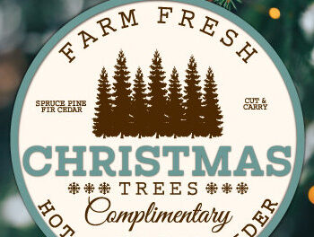 Intra απο ξύλο plywood 3mm-4mm πάχος - Farm Fresh Στολίδι Χριστουγεννιάτικου Δέντρου Δίασταση 6x6 cm INTRAFABR-103138839 - Image 16