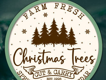 Intra απο ξύλο plywood 3mm-4mm πάχος - Farm Fresh Στολίδι Χριστουγεννιάτικου Δέντρου Δίασταση 6x6 cm INTRAFABR-103138839 - Image 18