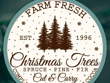 Intra απο ξύλο plywood 3mm-4mm πάχος - Farm Fresh Στολίδι Χριστουγεννιάτικου Δέντρου Δίασταση 6x6 cm INTRAFABR-103138306 - Image 3