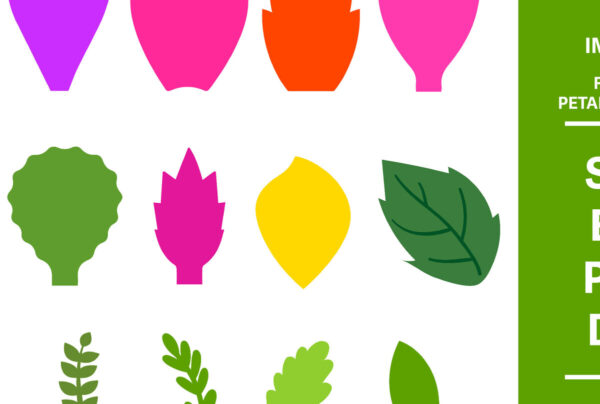 1758495748_Flower-Petals-and-Leaves-SVG-Bundle-Graphics-90351673-1-1