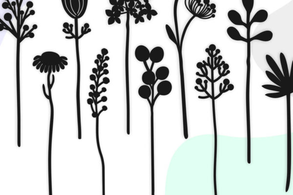 1758496341_Flowers-Graphics-28870513-1-1