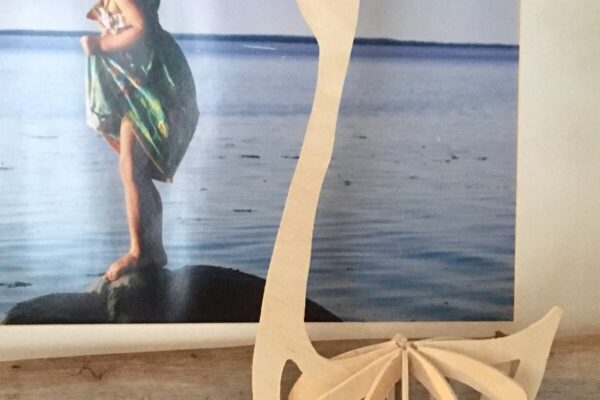 1758505234_Goose-Laser-Cut-Graphics-36870023-1-1