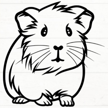 Intra απο ξύλο plywood 3mm-4mm πάχος - Ινδικό χοιρίδιο , DXF, EPS, JPG, PNG Δίασταση 20x20 cm INTRAFABR-115722021 - Image 1